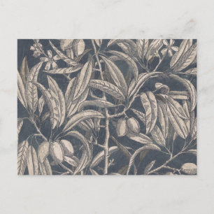 Vintage Fruit & Floral I Postcard