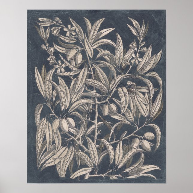 Vintage Fruit & Floral I Poster (Front)