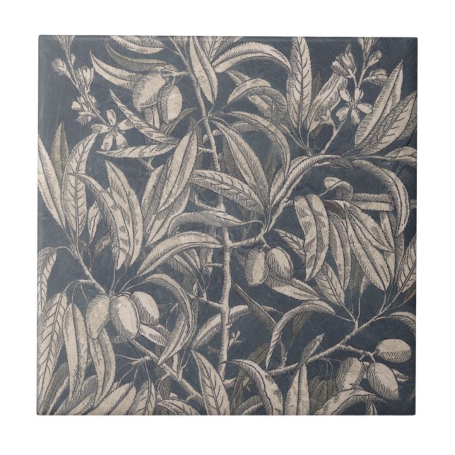 Vintage Fruit & Floral I Tile (Front)