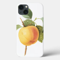 Vintage Fruit Food, Calville Apple by Redoute