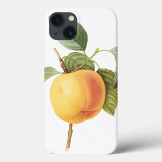 Vintage Fruit Food, Calville Apple by Redoute iPhone 13 Case