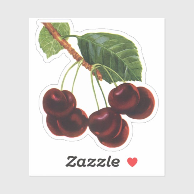 Vintage Fruit Foods, Ripe Cherries from a Tree (Sheet)