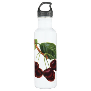 Vintage Fruit Foods, Ripe Cherries from a Tree 710 Ml Water Bottle