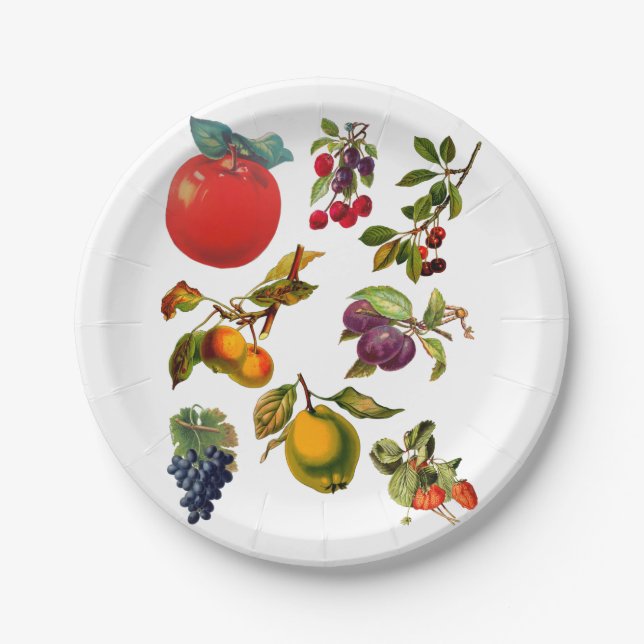 Vintage Fruit Garden Art botanical Illustrations Paper Plate (Front)