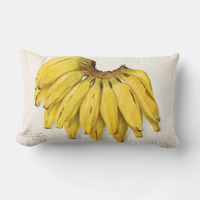 Vintage Fruit Lumbar Cushion (Front)