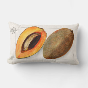 Vintage Fruit Lumbar Cushion