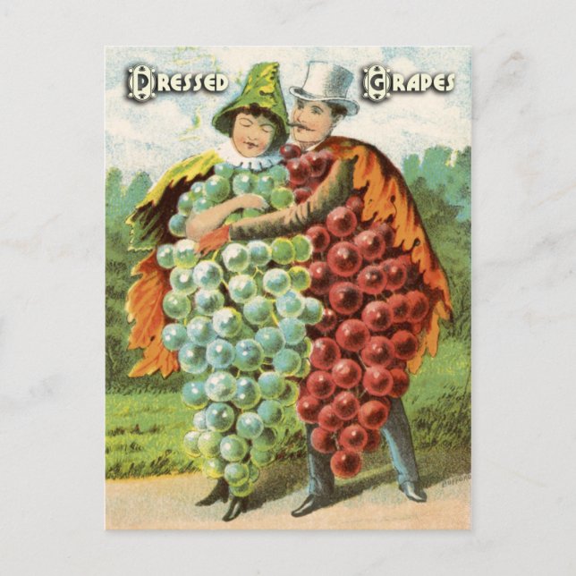 Vintage Fruit Postcard Series: Grapes (Front)