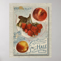 Vintage Fruit Seed Packet from the late 1800's