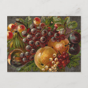 Vintage Fruits Harvest Thanksgiving Postcard