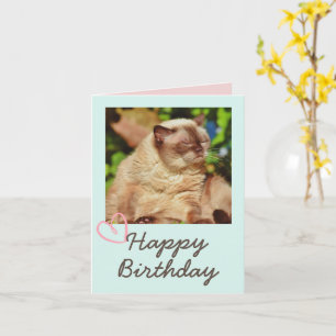 Vintage Funny Cat and Happy Birthday  Card