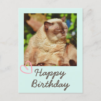 Vintage Funny Cat and Happy Birthday Postcard