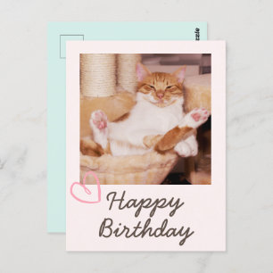 Vintage Funny Cat and Happy Birthday Postcard