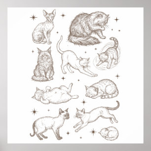 Vintage Funny Cats with Multiple Poses Poster