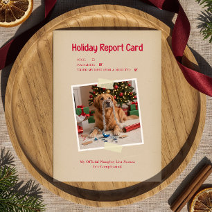 Vintage Funny Dog Photo Christmas Holiday Postcard