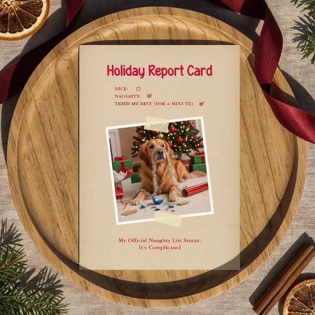 Vintage Funny Dog Photo Christmas Holiday Postcard (Creator Uploaded)