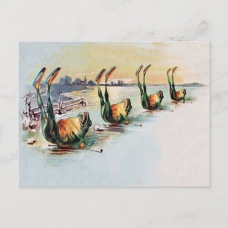 Vintage Funny Frogs Postcard