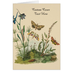 Vintage Garden Insects, Butterflies, Caterpillars