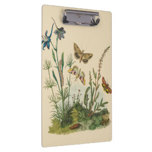 Vintage Garden Insects, Butterflies, Caterpillars Clipboard