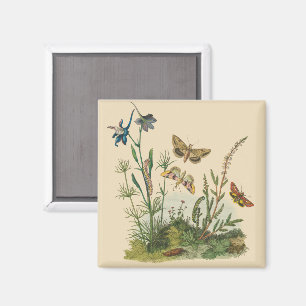 Vintage Garden Insects, Butterflies, Caterpillars Magnet