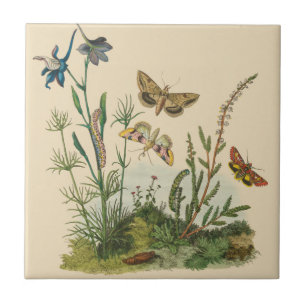 Vintage Garden Insects, Butterflies, Caterpillars Tile