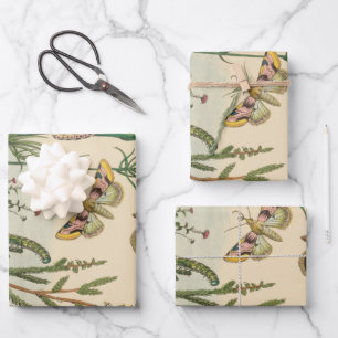 Vintage Garden Insects, Butterflies, Caterpillars Wrapping Paper Sheet