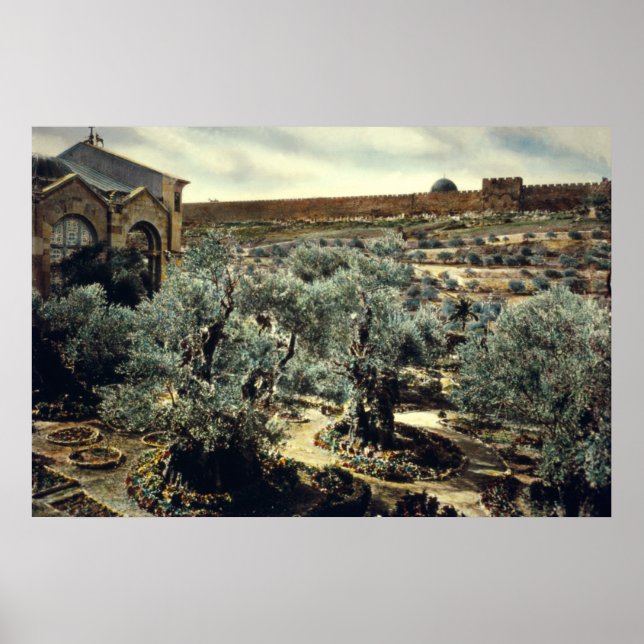 Vintage Garden of Gethsemane Jerusalem Israel Poster (Front)