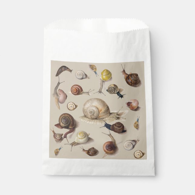 Vintage Garden Snails Scientific Illustration Favour Bags (Front)