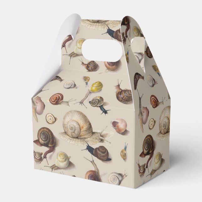 Vintage Garden Snails Scientific Illustration Favour Box (Front Side)