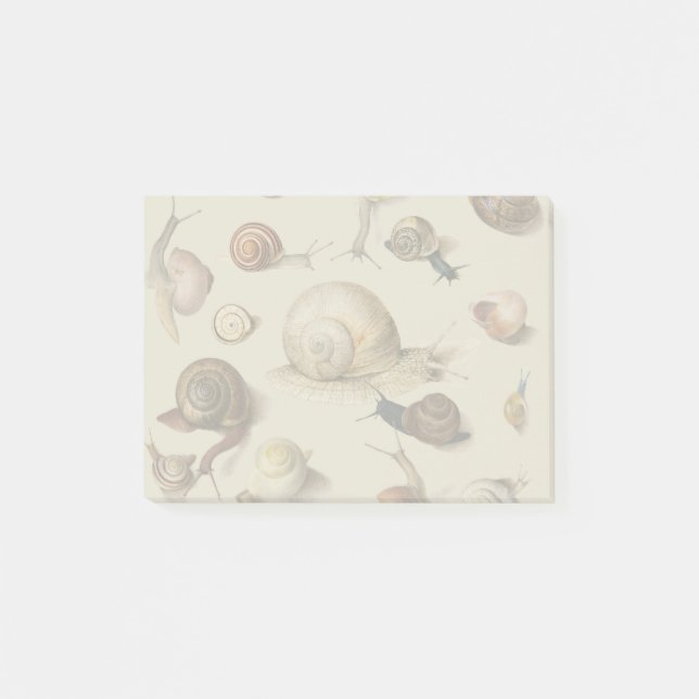 Vintage Garden Snails Scientific Illustration Post-it Notes (Front)