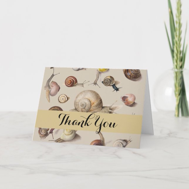 Vintage Garden Snails Scientific Illustration Thank You Card (Front)