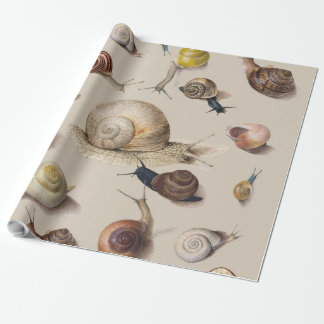 Vintage Garden Snails Scientific Illustration Wrapping Paper