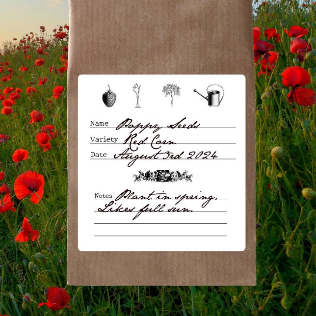 Vintage Gardener Illustrated DIY Seed Saving Square Sticker (Creator Uploaded)
