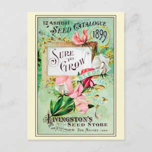 Vintage Gardening Flower Seeds Catalogue Postcard