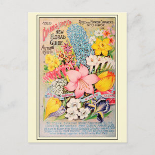 Vintage Gardening Flower Seeds Catalogue Postcard