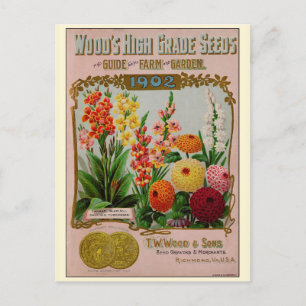 Vintage Gardening Flower Seeds Catalogue Postcard