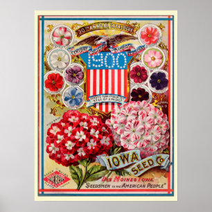 Vintage Gardening Flower Seeds Catalogue Poster