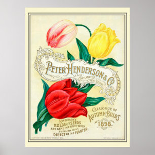 Vintage Gardening Flower Seeds Catalogue Poster