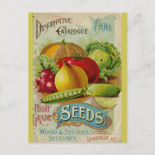 Vintage Gardening Vegetable Seeds Catalogue Postcard