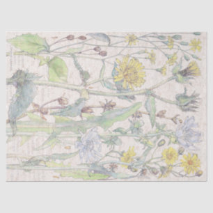 Vintage Gasteria Wildflower Flowers Tissue Paper
