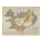 Vintage Geological Map of Iceland (1901)