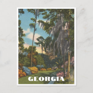 Vintage Georgia Garden Scene Postcard
