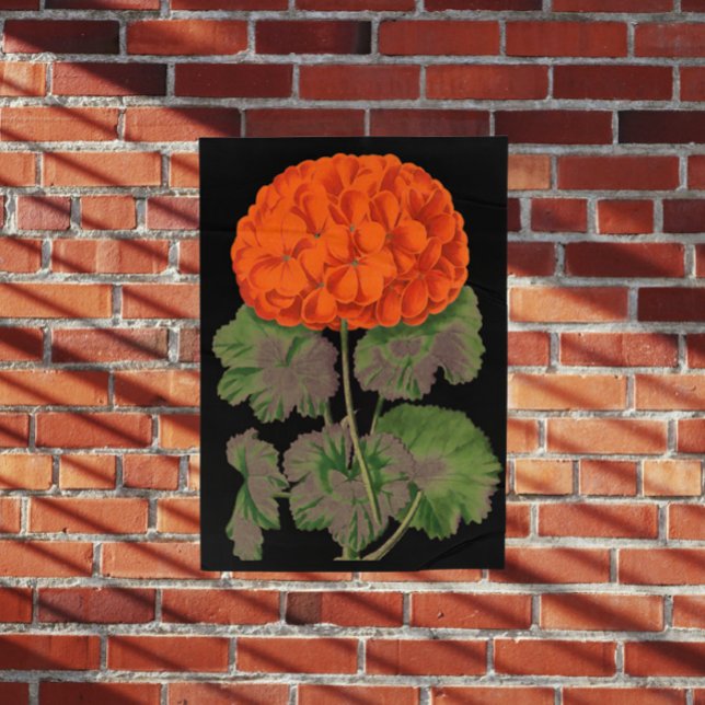 Vintage Geranium  - bold floral  Poster (Creator Uploaded)