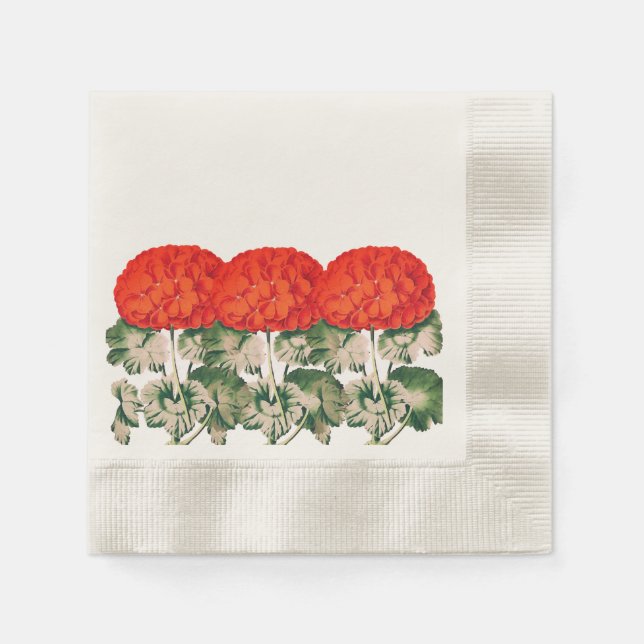 Vintage Geranium Trio  - bold floral    Napkin (Front)