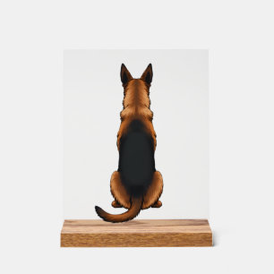 Vintage German Shepherd Back View Dog Illustration Acrylic Sign