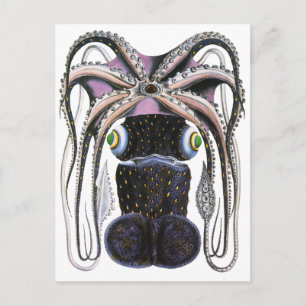 Vintage Giant Octopus or Squid, Marine Life Animal Postcard