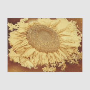 Vintage Giant Sunflowers Yellow Brown Vignette Tissue Paper