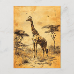 Vintage Giraffe Südafrika Savanne Postcard