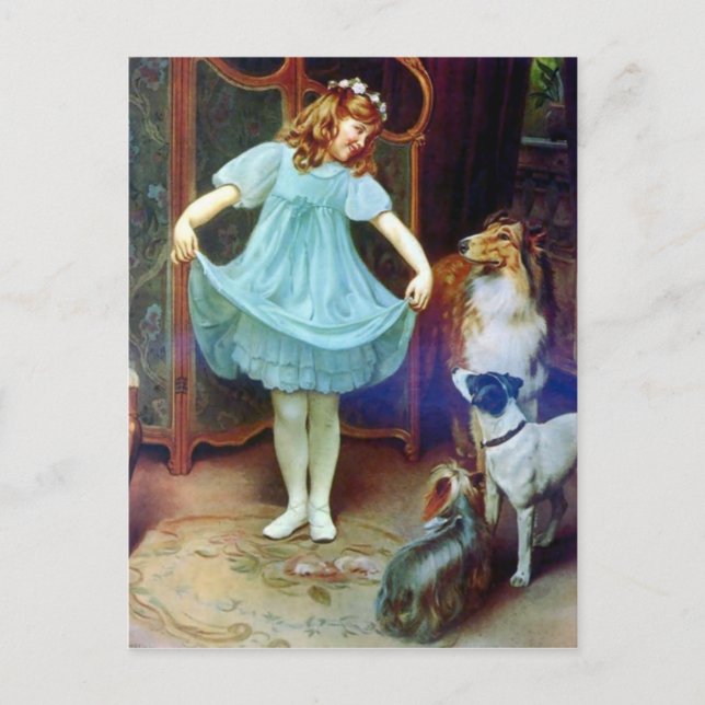 Vintage Girl New Dress Collie pet dogs Postcard (Front)