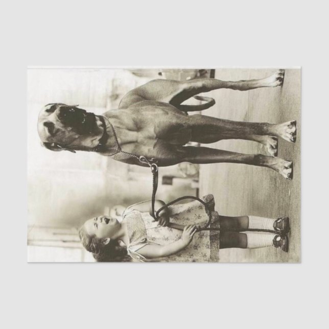 Vintage Girl with Great Dane Dog Tissue Paper (Front)