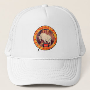 Vintage Glacier National Park See America First Trucker Hat